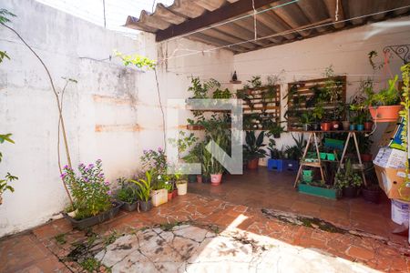 Casa para alugar com 234m², 3 quartos e 6 vagasQuintal