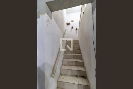 Casa à venda com 500m², 8 quartos e 5 vagasEscada da Casa 3