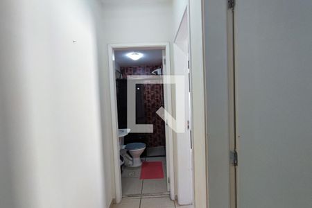 Corredor Quartos de apartamento para alugar com 2 quartos, 50m² em Residencial Cosmos, Campinas
