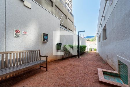 Apartamento para alugar com 65m², 2 quartos e 1 vaga Apartamento para alugar com 65m², 2 quartos e 1 vagaÁrea comum - Pet place