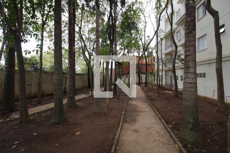 Apartamento para alugar com 47m², 2 quartos e 1 vagaÁrea comum - bosque