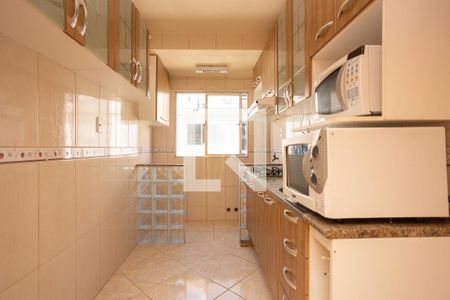 Cozinha de apartamento para alugar com 1 quarto, 29m² em Jardim Itu, Porto Alegre