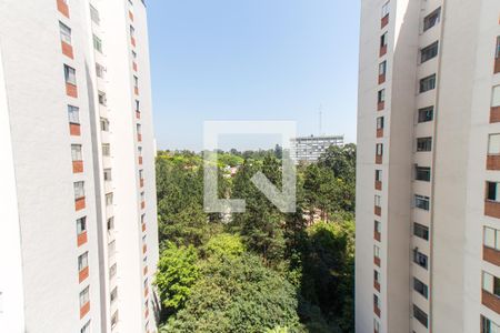 Vista da Sala   de apartamento para alugar com 3 quartos, 90m² em Barro Branco (zona Norte), São Paulo