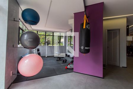 Apartamento à venda com 271m², 4 quartos e 5 vagas Apartamento à venda com 271m², 4 quartos e 5 vagasÁrea comum - Academia