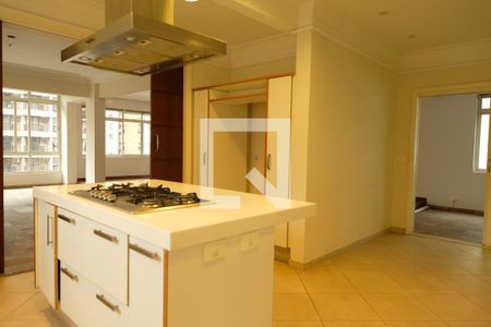 Apartamento para alugar com 400m², 2 quartos e 2 vagasCozinha