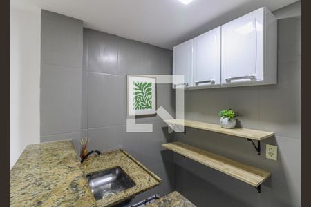 Apartamento para alugar com 35m², 2 quartos e sem vagaCozinha