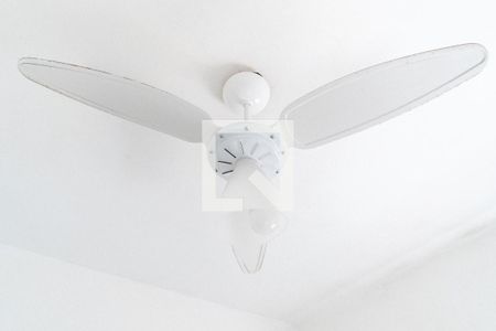 Studio para alugar com 20m², 1 quarto e sem vagaStudio