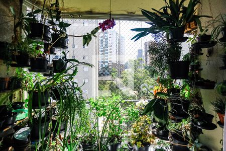 Apartamento à venda com 82m², 3 quartos e 2 vagasVaranda