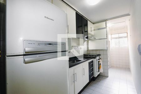 Apartamento para alugar com 65m², 3 quartos e 1 vaga Apartamento para alugar com 65m², 3 quartos e 1 vagaCozinha
