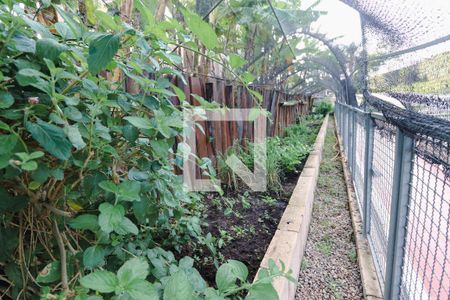 Apartamento para alugar com 65m², 3 quartos e 1 vaga Apartamento para alugar com 65m², 3 quartos e 1 vagaHorta
