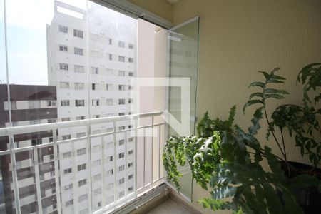 Varanda de apartamento para alugar com 2 quartos, 69m² em Cambuci, São Paulo