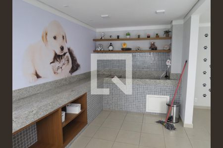 Apartamento para alugar com 35m², 2 quartos e sem vagaPet Care