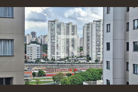 Vista de apartamento para alugar com 2 quartos, 47m² em Várzea da Barra Funda, São Paulo