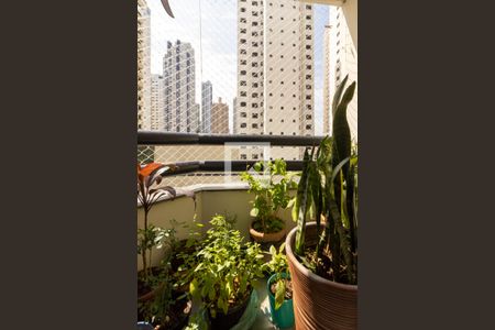 Sacada da Sala de apartamento à venda com 3 quartos, 86m² em Vila Regente Feijó, São Paulo