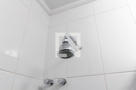 Casa para alugar com 257m², 3 quartos e 5 vagasChuveiro