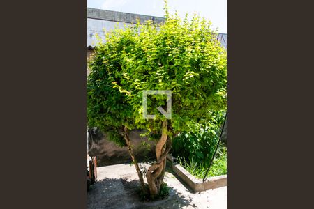 Casa à venda com 122m², 2 quartos e 1 vagaÁrea Comum