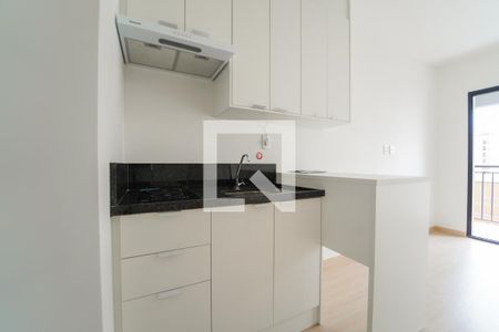 Apartamento para alugar com 33m², 1 quarto e sem vaga Apartamento para alugar com 33m², 1 quarto e sem vagaCozinha