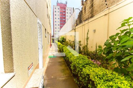 Apartamento para alugar com 48m², 2 quartos e 1 vagaÁrea Comum