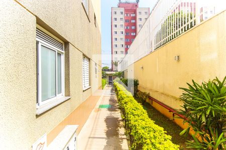Apartamento para alugar com 48m², 2 quartos e 1 vagaÁrea Comum