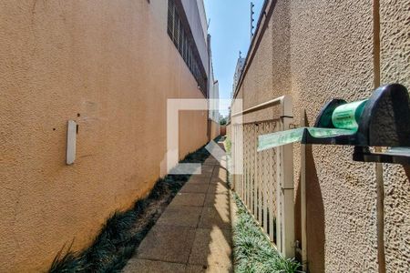 Apartamento à venda com 45m², 1 quarto e 1 vagapet