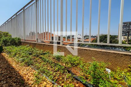 Apartamento à venda com 45m², 1 quarto e 1 vagahorta