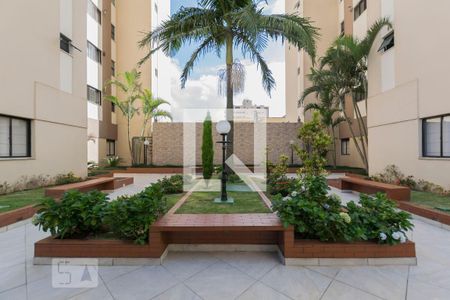 Apartamento para alugar com 70m², 3 quartos e 1 vaga Apartamento para alugar com 70m², 3 quartos e 1 vagaÁrea comum