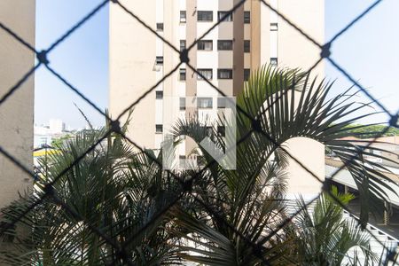 Apartamento para alugar com 70m², 3 quartos e 1 vaga Apartamento para alugar com 70m², 3 quartos e 1 vagaVista da Área de Serviço