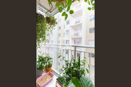 Varanda  de apartamento para alugar com 2 quartos, 32m² em Cambuci, São Paulo