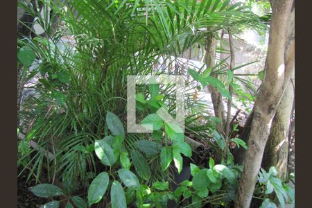 Casa à venda com 200m², 3 quartos e 3 vagasÁrea de Serviço Casa 2