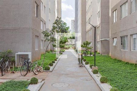 Área comum de apartamento para alugar com 2 quartos, 48m² em Vila Cristalia, São Paulo