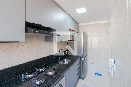 Cozinha de apartamento para alugar com 2 quartos, 48m² em Vila Cristalia, São Paulo