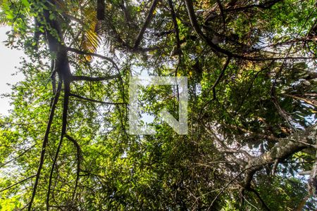 Casa de condomínio à venda com 811m², 4 quartos e 2 vagasQuintal