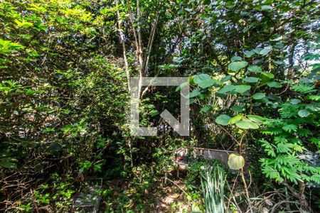 Casa de condomínio à venda com 811m², 4 quartos e 2 vagasQuintal