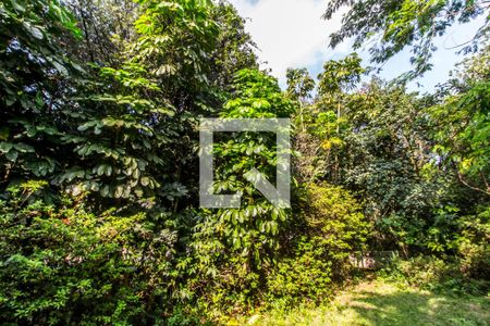 Casa de condomínio à venda com 811m², 4 quartos e 2 vagasQuintal