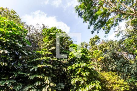 Casa de condomínio à venda com 811m², 4 quartos e 2 vagasQuintal