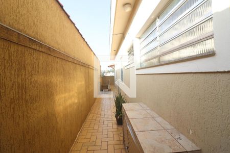 Casa à venda com 250m², 3 quartos e 2 vagasQuintal 