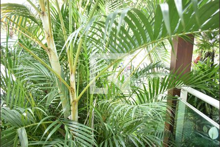 Vista da Sala de apartamento para alugar com 2 quartos, 24m² em Campo Grande, Rio de Janeiro