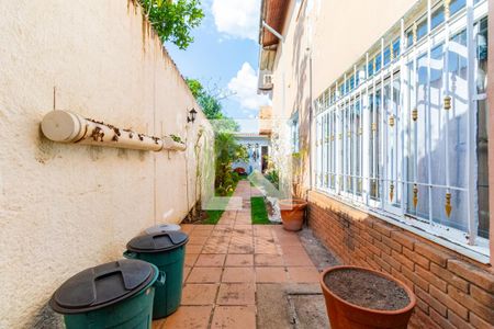 Casa para alugar com 186m², 3 quartos e 2 vagasQuintal