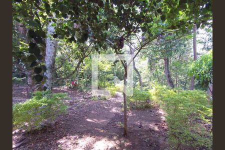 Apartamento para alugar com 48m², 2 quartos e 1 vagaBosque privado 