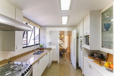 Apartamento à venda com 376m², 4 quartos e 6 vagasCozinha