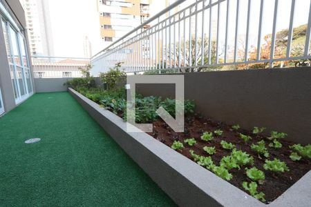 Apartamento para alugar com 41m², 1 quarto e 1 vagaÁrea Comum