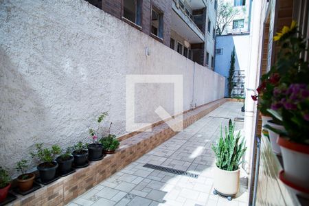 Vista da Sala / Cozinha de apartamento para alugar com 1 quarto, 40m² em Vila Monte Alegre, São Paulo