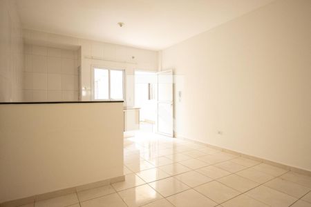 Sala de apartamento para alugar com 1 quarto, 40m² em Vila São José, São Paulo