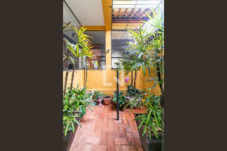 Jardim  de casa para alugar com 4 quartos, 300m² em Ipiranga, Belo Horizonte