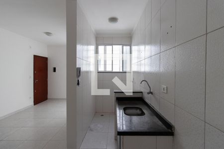 Cozinha/Área de serviço de apartamento para alugar com 1 quarto, 46m² em Vila Maria Baixa, São Paulo