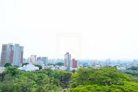 Apartamento para alugar com 38m², 1 quarto e 1 vagaVista