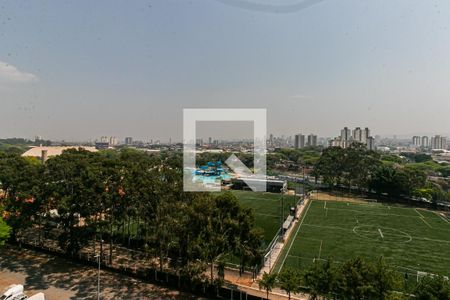 Varanda - Vista de apartamento para alugar com 2 quartos, 49m² em Vila Moreira, São Paulo