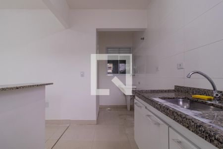 Cozinha de apartamento para alugar com 1 quarto, 30m² em Instituto de Previdência, São Paulo