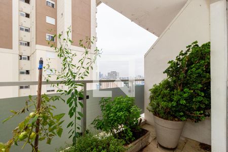 Varanda - Sala de Estar de apartamento à venda com 3 quartos, 253m² em Belenzinho, São Paulo