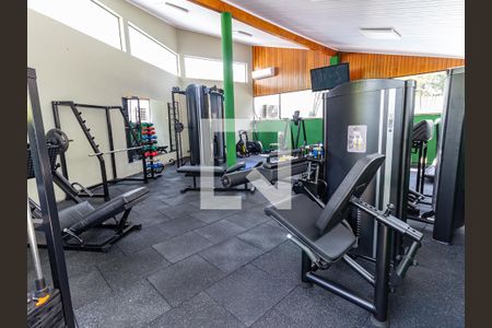 Apartamento à venda com 260m², 4 quartos e 4 vagasÁrea comum - Academia